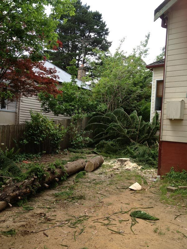 Best ideas about DIY Tree Removal
. Save or Pin DIY Tree Removal – Mummy To Twins Plus e Now.