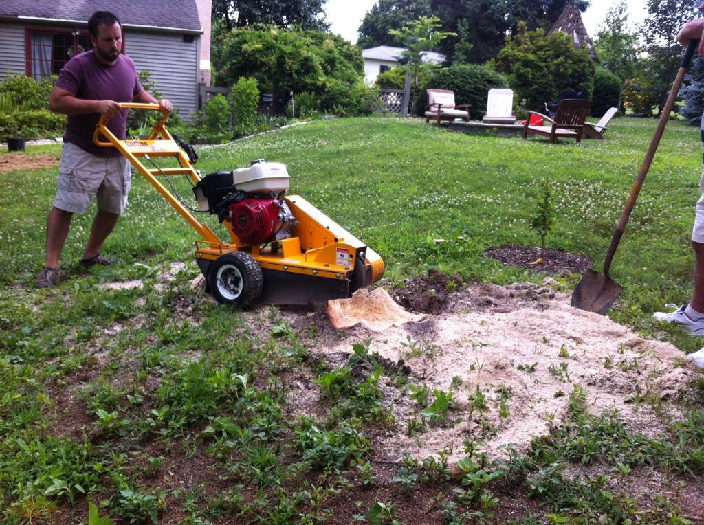 Best ideas about DIY Tree Removal
. Save or Pin DIY Tree Stump Removal Lehman Lane Now.