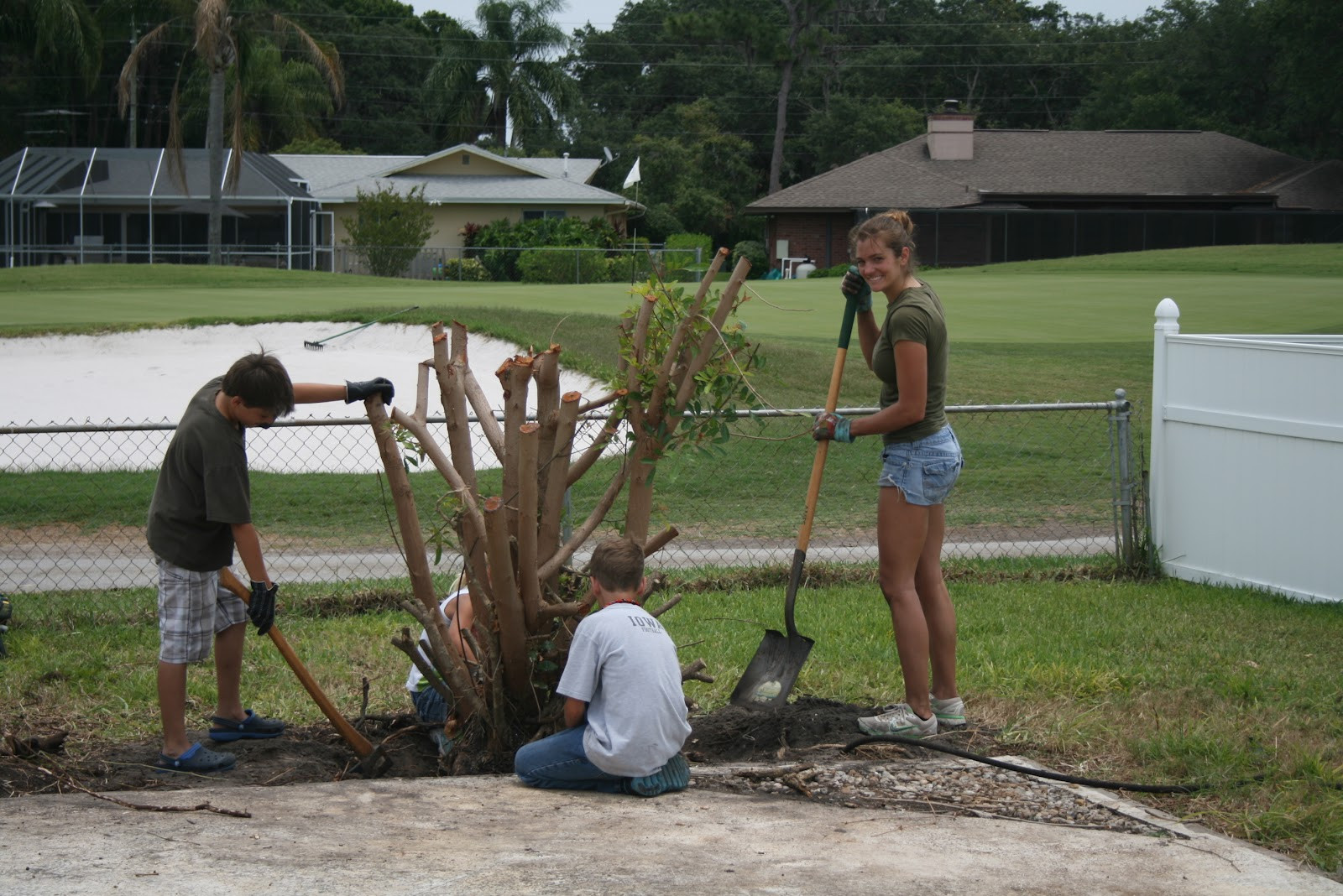 Best ideas about DIY Tree Removal
. Save or Pin From Oysters to Pearls DIY Tree Removal Now.