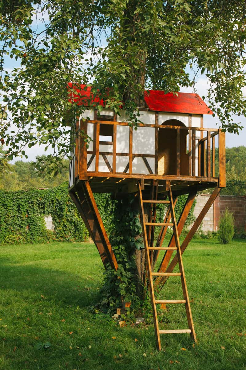 Best ideas about DIY Treehouse Plans Free
. Save or Pin How to Build a Treehouse in the Backyard Now.