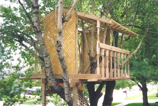 Best ideas about DIY Treehouse Plans Free
. Save or Pin 30 DIY Tree House Plans & Design Ideas for Adult and Kids Now.