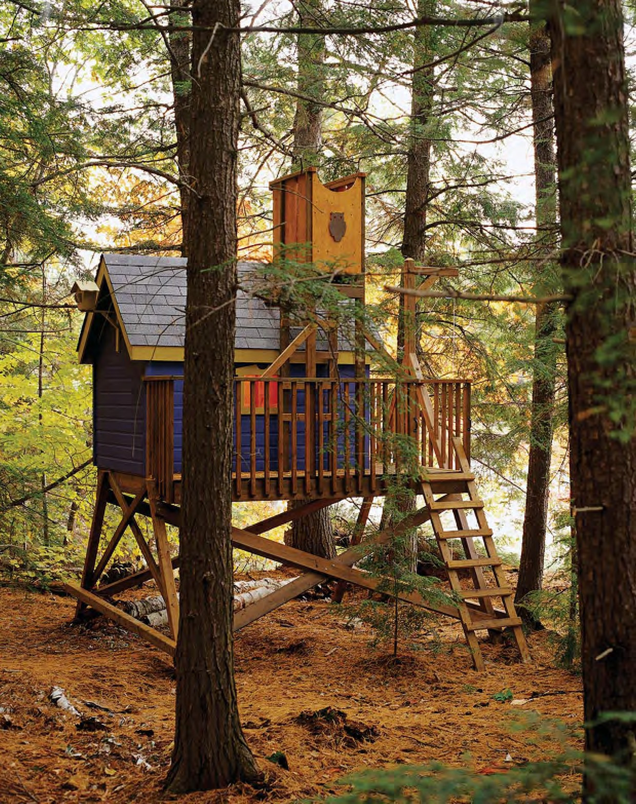 Best ideas about DIY Treehouse Plans Free
. Save or Pin Free Deluxe Tree House Plans Now.