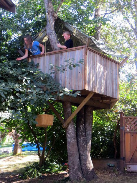 Best ideas about DIY Treehouse Plans Free
. Save or Pin Best 25 Simple tree house ideas on Pinterest Now.