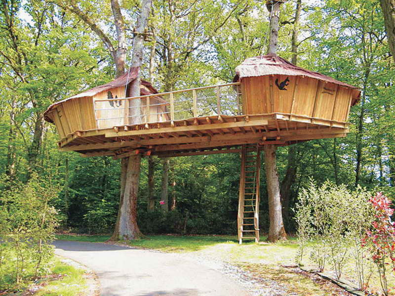 Best ideas about DIY Treehouse Plans Free
. Save or Pin Treehouse Plans Designs Diy Adult Tree Houses House Now.