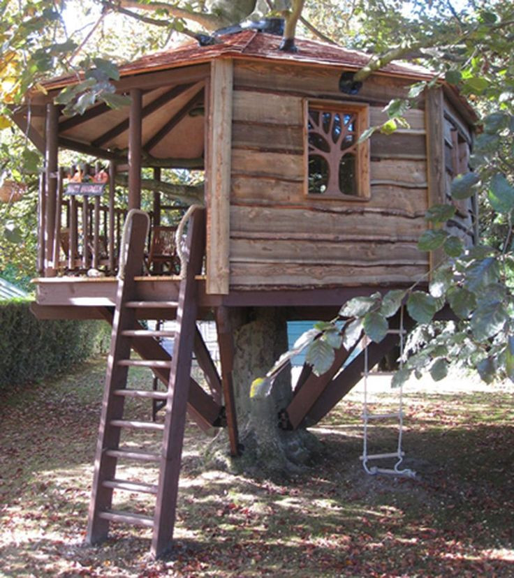 Best ideas about DIY Treehouse Plans
. Save or Pin Best 25 Simple tree house ideas on Pinterest Now.