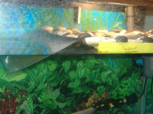 Best ideas about DIY Turtle Dock
. Save or Pin Kingsnake Herpforum RE Plans for homemade turtle Now.