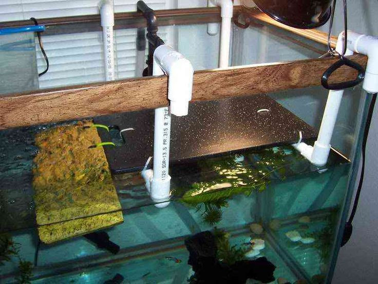 Best ideas about DIY Turtle Dock
. Save or Pin diy pet turtle tank basking platform Now.