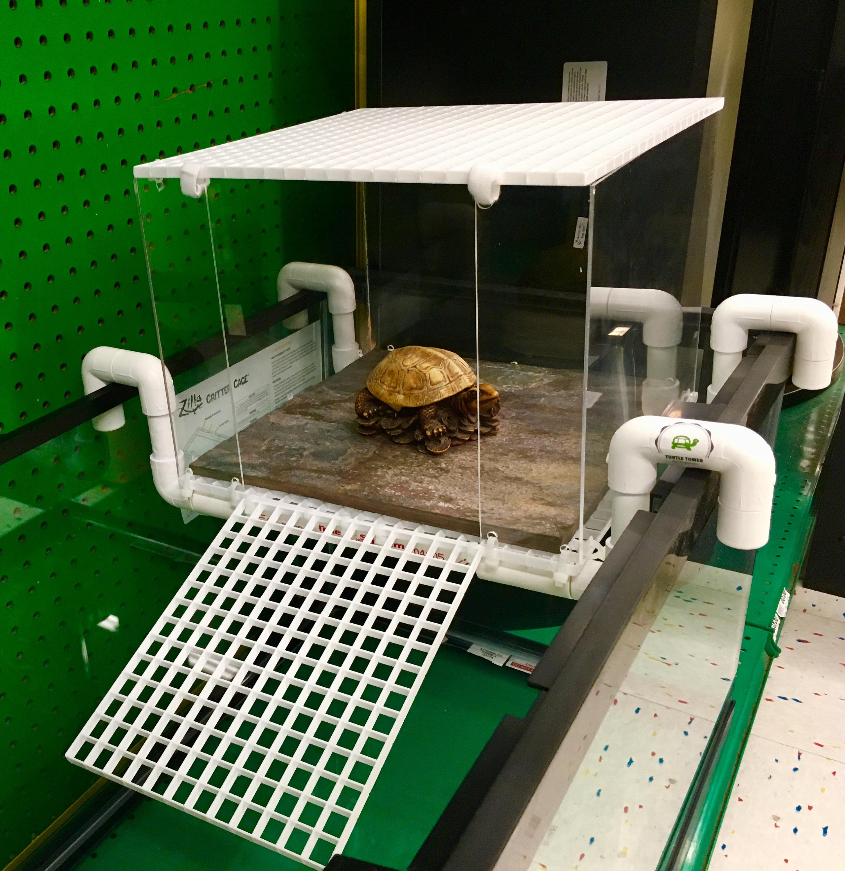 Best ideas about DIY Turtle Dock
. Save or Pin Turtle Tower Tank Acrylic Model Turtle Basking Now.