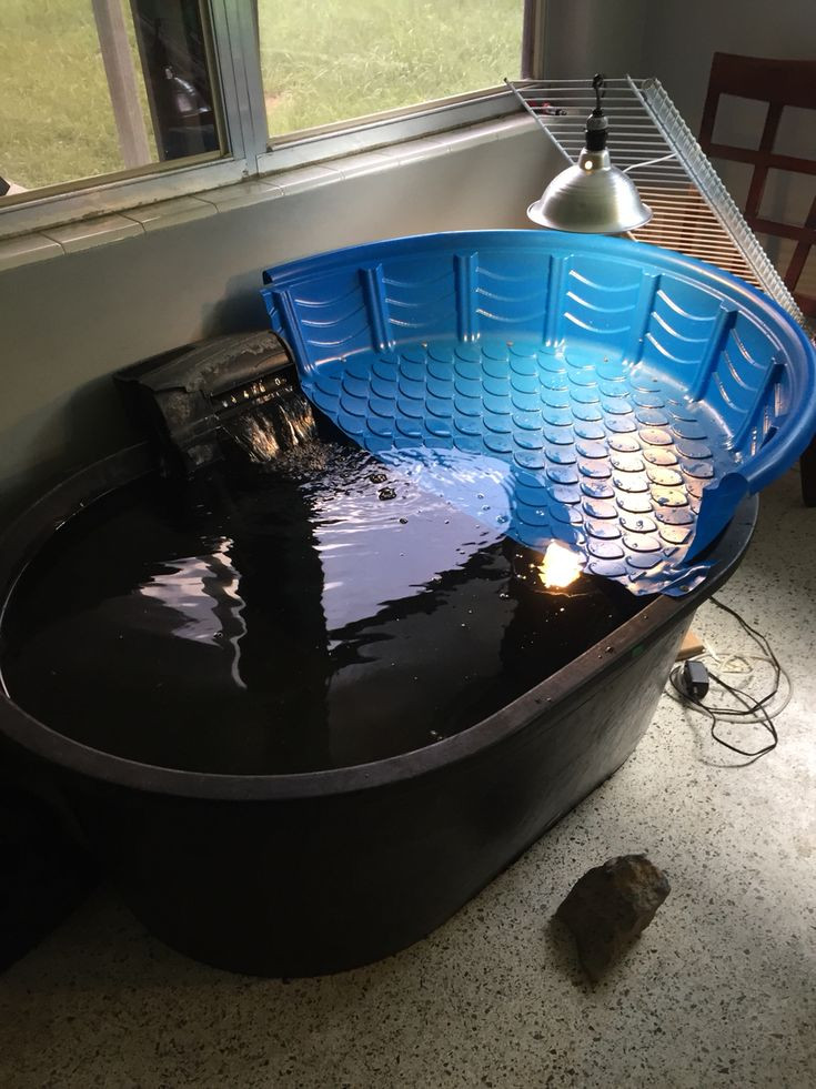 Best ideas about DIY Turtle Tank
. Save or Pin Indoor turtle pond Turtle Pinterest Now.