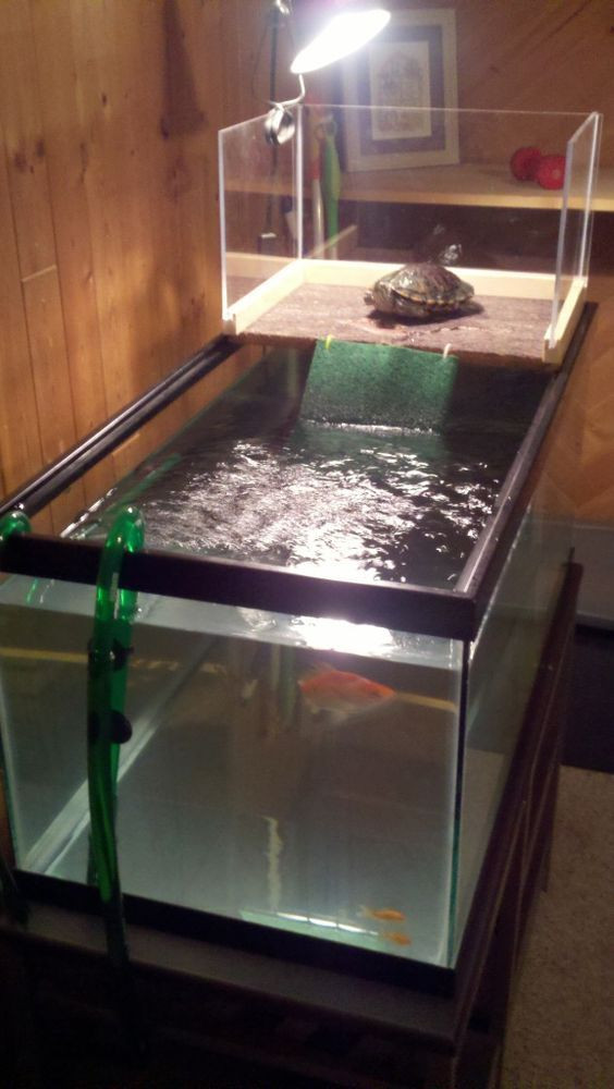 Best ideas about DIY Turtle Tank
. Save or Pin Turtle Topper Tank Basking Platform & Dock Spiffy Now.