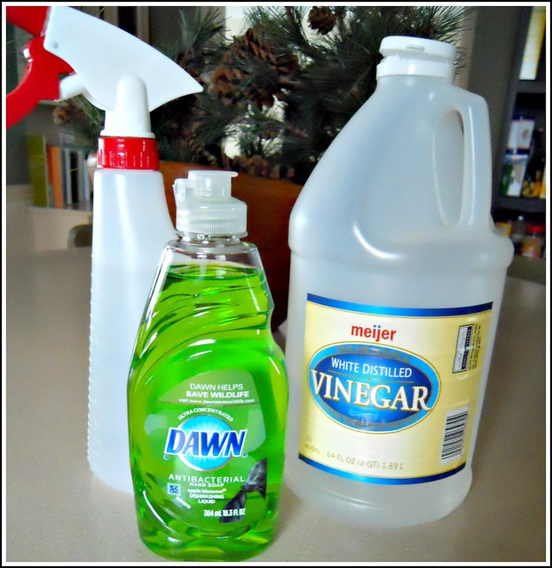 Best ideas about DIY Vinegar Cleaner
. Save or Pin Homemade Shower Cleaner Andrea Dekker Now.