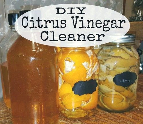 Best ideas about DIY Vinegar Cleaner
. Save or Pin Save those citrus peels and make a natural citrus cleaner Now.