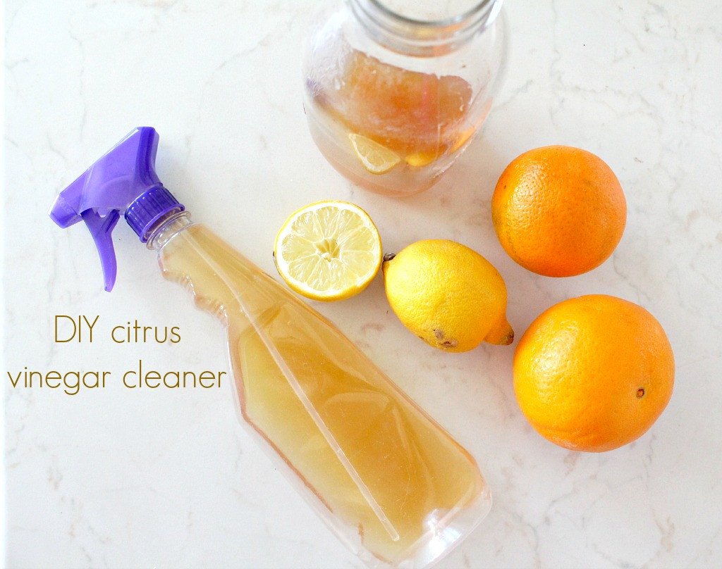 Best ideas about DIY Vinegar Cleaner
. Save or Pin DIY Citrus Vinegar Cleaner The Seaman Mom Now.