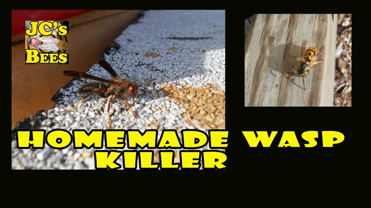 Best ideas about DIY Wasp Killer
. Save or Pin Homemade Wasp Killer Now.