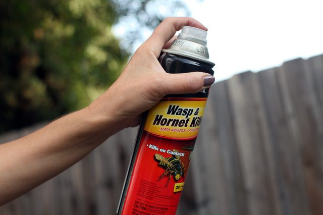 Best ideas about DIY Wasp Killer
. Save or Pin Homemade Wasp Spray with Now.