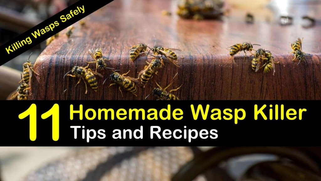 Best ideas about DIY Wasp Killer
. Save or Pin Killing Wasps Safely 11 Homemade Wasp Killer Tips and Now.