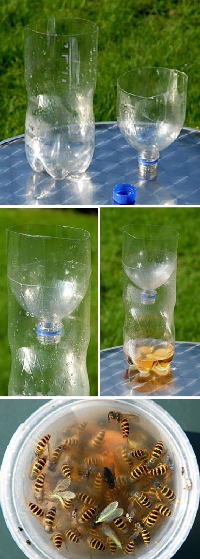 Best ideas about DIY Wasp Killer
. Save or Pin Wasp traps Wasp and How to make on Pinterest Now.