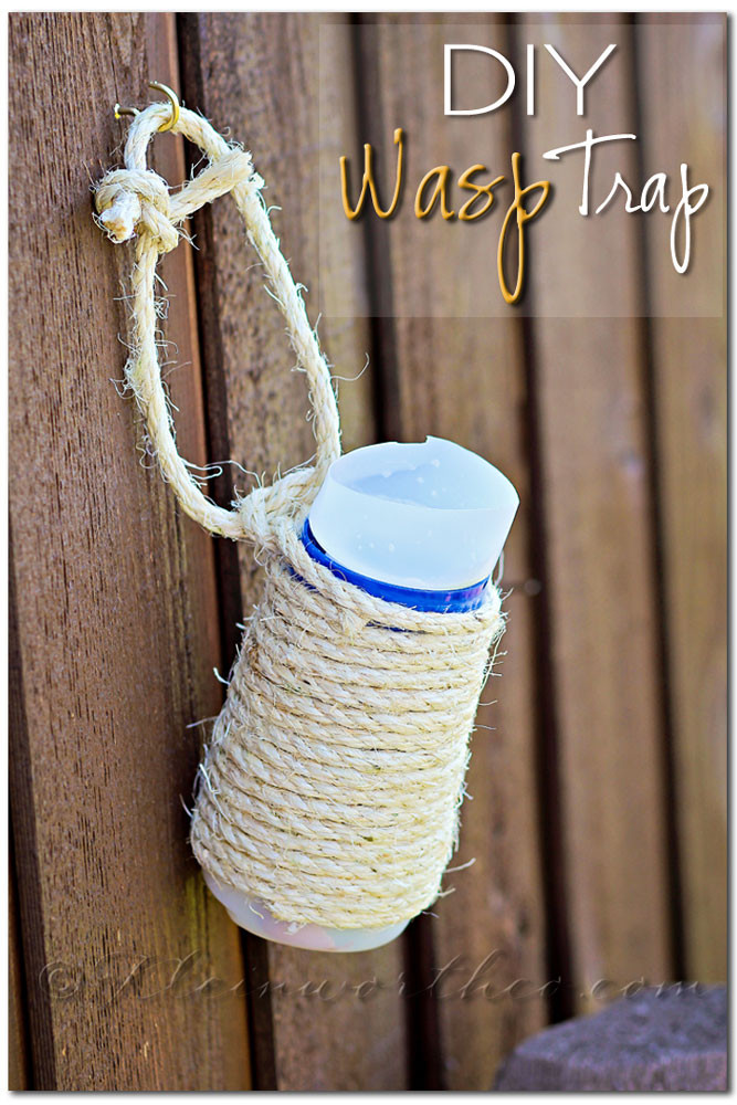 Best ideas about DIY Wasp Trap
. Save or Pin 50 Backyard Hacks Now.