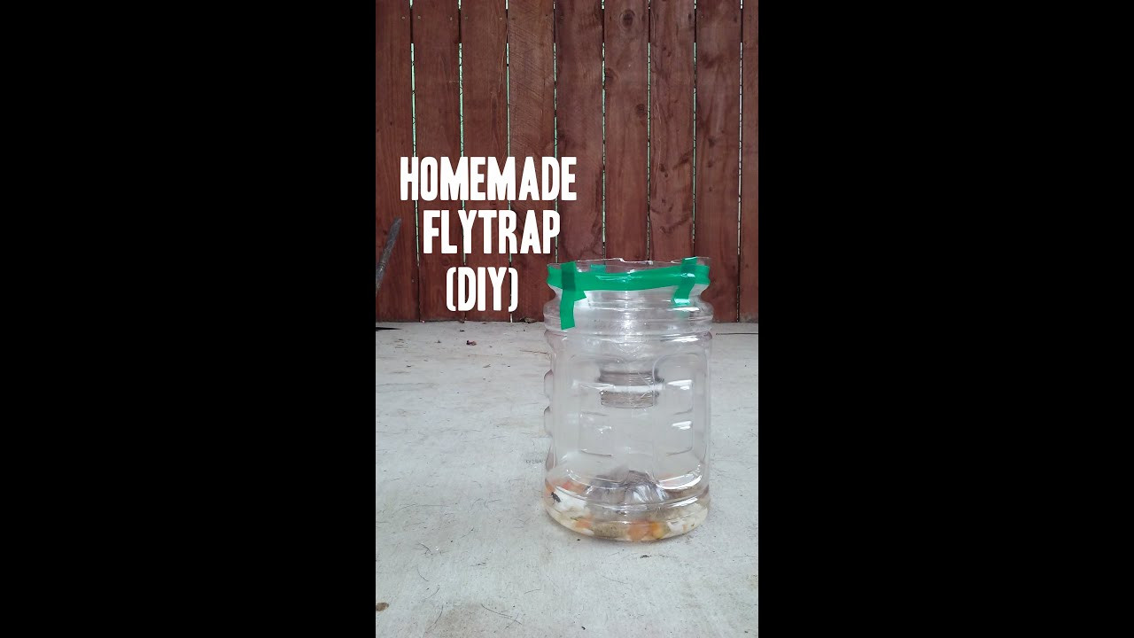 Best ideas about DIY Wasp Trap
. Save or Pin Easy Homemade Fly & Wasp Trap DIY How To Now.