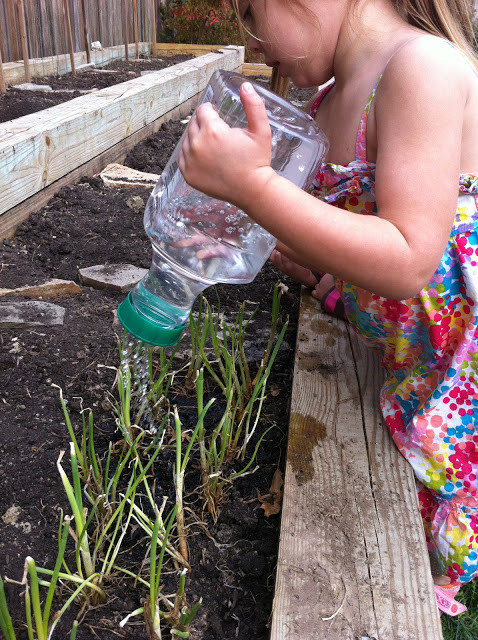 Best ideas about DIY Watering Can
. Save or Pin Gardening with Kids My Life and Kids Now.