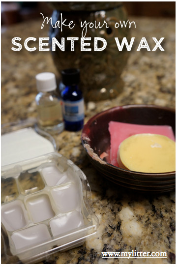 Best ideas about DIY Wax Warmers
. Save or Pin How to make your own scented wax like scentsy Now.