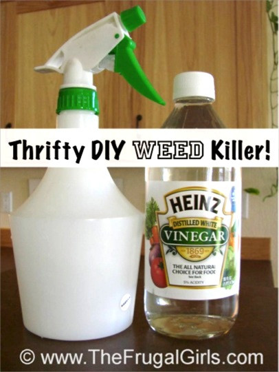Best ideas about DIY Weed Killer
. Save or Pin Easy Homemade Weed Killer Frugal Gardening Tip The Now.
