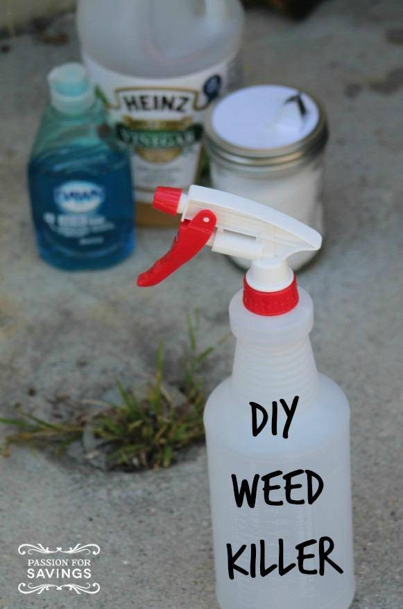 Best ideas about DIY Weed Killer
. Save or Pin DIY Weed Killer Passion for Savings Now.