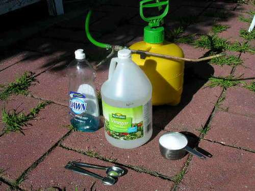 Best ideas about DIY Weed Killer
. Save or Pin Make Your Own Green Weed Spray Now.