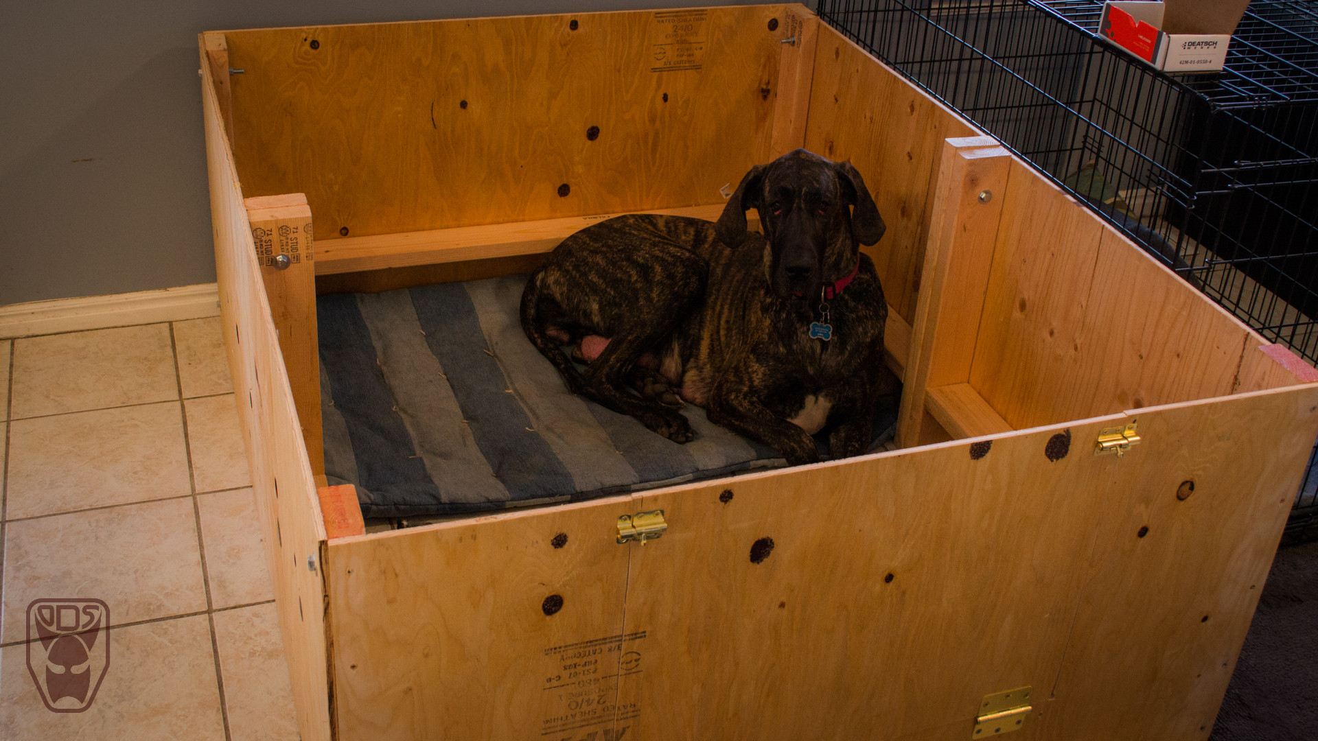 Best ideas about DIY Whelping Box
. Save or Pin Building a Whelping box for our Great Dane Now.
