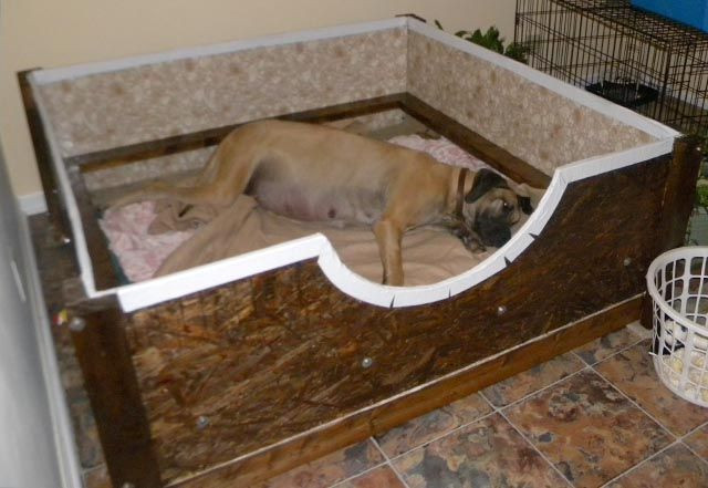 Best ideas about DIY Whelping Box
. Save or Pin whelping box plans for when your dogs going to give birth Now.