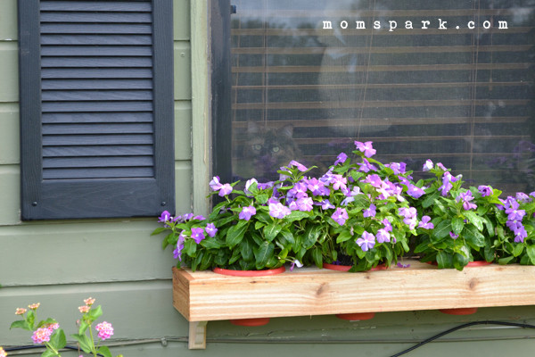 Best ideas about DIY Window Flower Box
. Save or Pin DIY Window Flower Box from Scratch Now.