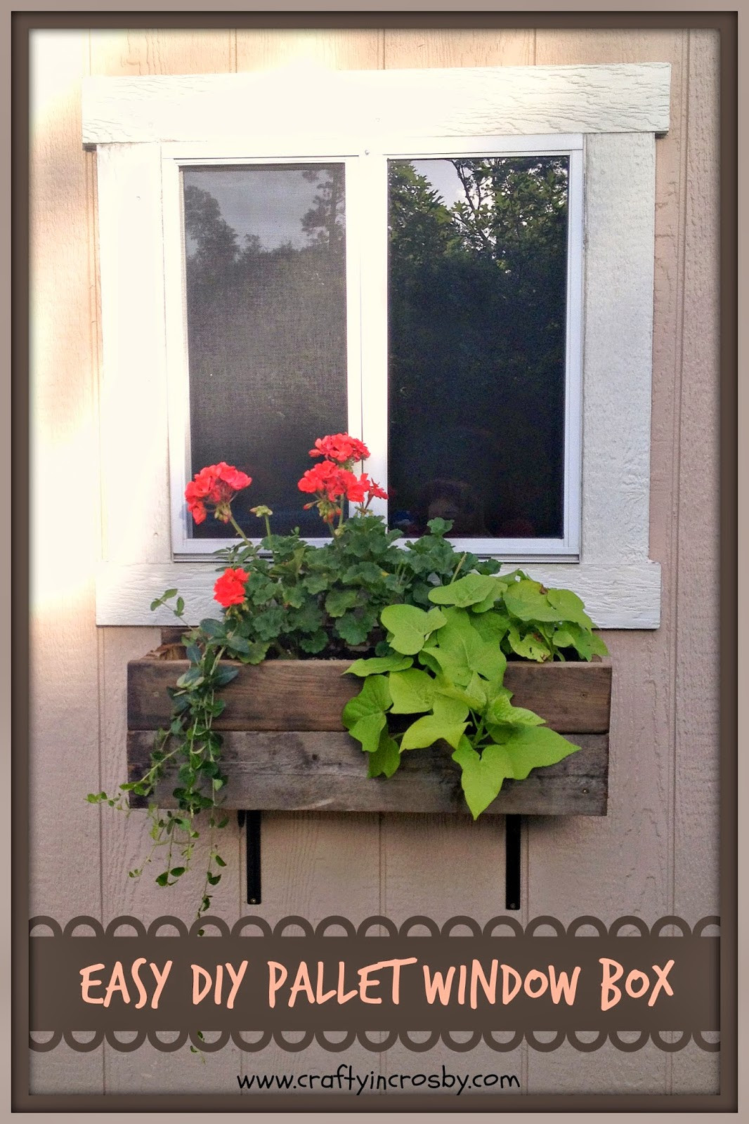 Best ideas about DIY Window Flower Box
. Save or Pin Crafty in Crosby Easy DIY Pallet Window Box Now.