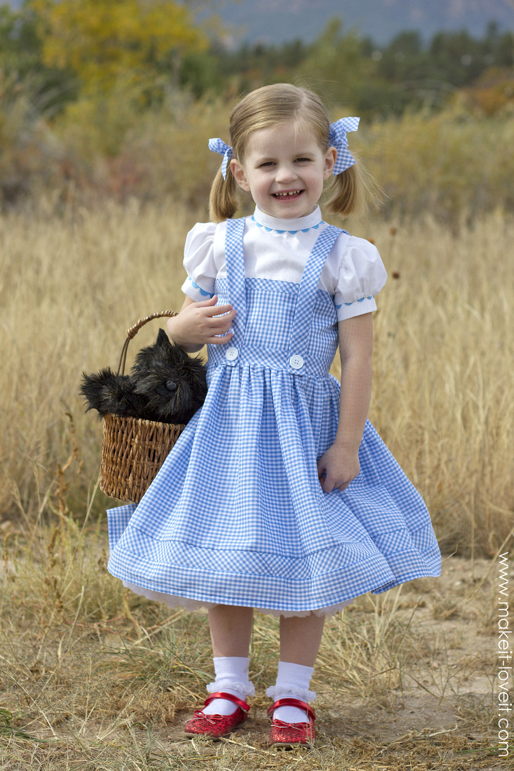 Best ideas about DIY Wizard Of Oz Costume
. Save or Pin Halloween 2014 Dorothy from "Wizard of Oz" Now.