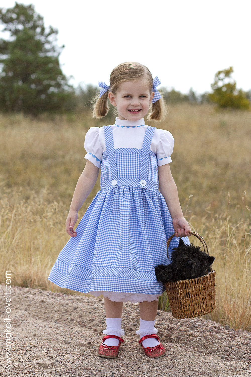 Best ideas about DIY Wizard Of Oz Costume
. Save or Pin Halloween 2014 Dorothy from "Wizard of Oz" Now.