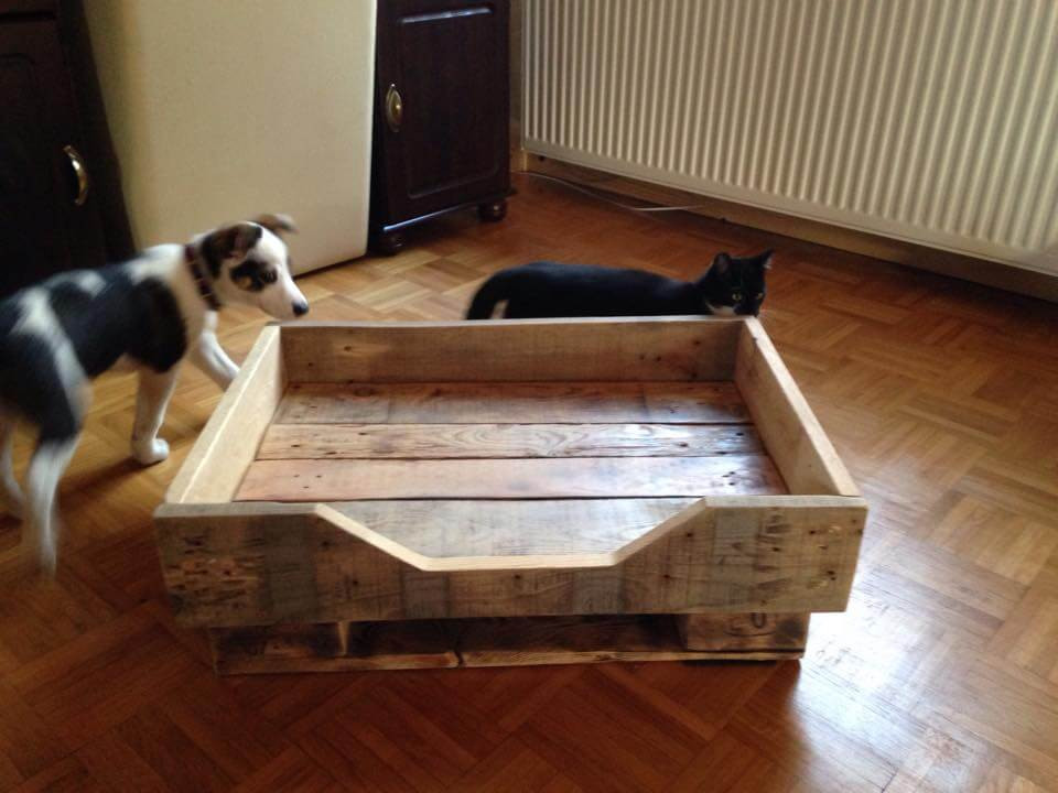 Best ideas about DIY Wood Dog Bed
. Save or Pin DIY Pallet Dog Bed with Flat Wooden Legs Now.