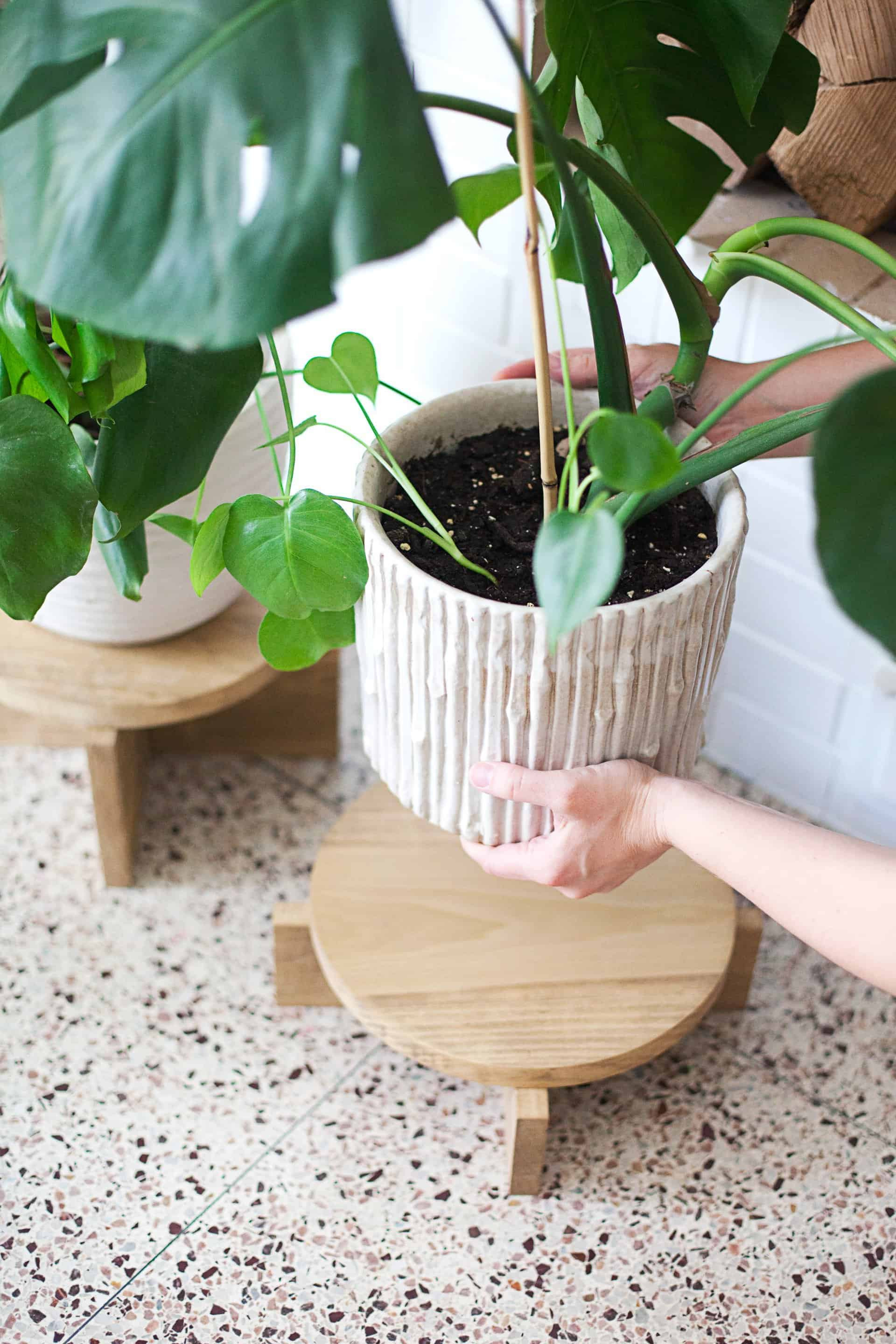 Best ideas about DIY Wood Plant Stand
. Save or Pin DIY Modern Wood Plant Stands A Beautiful Mess Now.