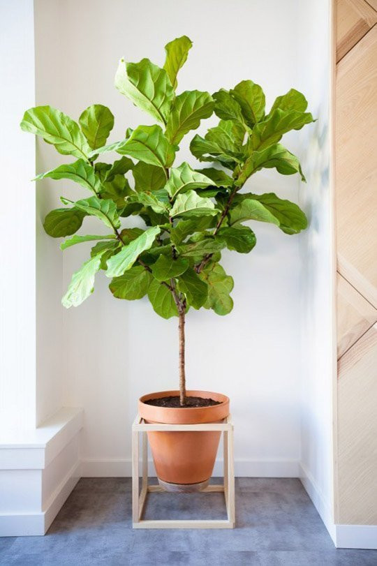 Best ideas about DIY Wood Plant Stand
. Save or Pin 23 DIY Plant Stands That Hold The Product of Your Green Thumb Now.