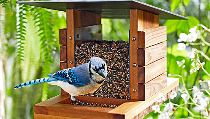 Best ideas about DIY Wooden Bird Feeders
. Save or Pin Craftionary Now.