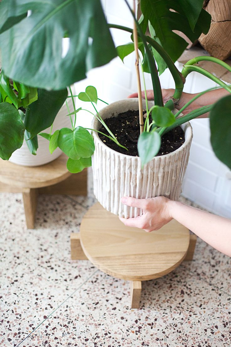 Best ideas about DIY Wooden Plant Stand
. Save or Pin Best 25 Diy plant stand ideas on Pinterest Now.