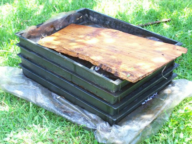 Best ideas about DIY Worm Bin
. Save or Pin 10 Helpful Worm posting Bin Ideas and Plans Now.
