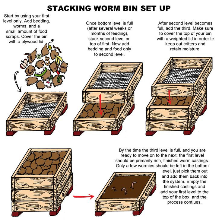 Best ideas about DIY Worm Farm
. Save or Pin 17 best ideas about Worm Farm on Pinterest Now.