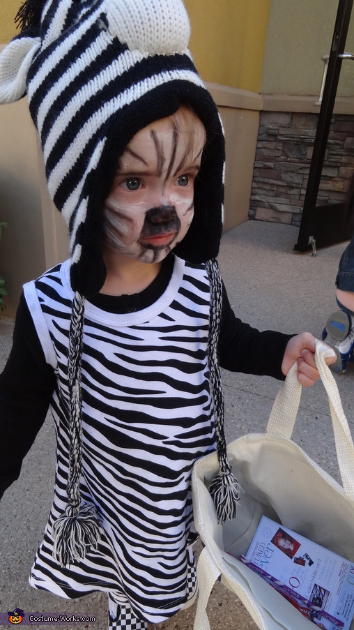 Best ideas about DIY Zebra Costume
. Save or Pin DIY Zebra Baby Costume 2 2 Now.