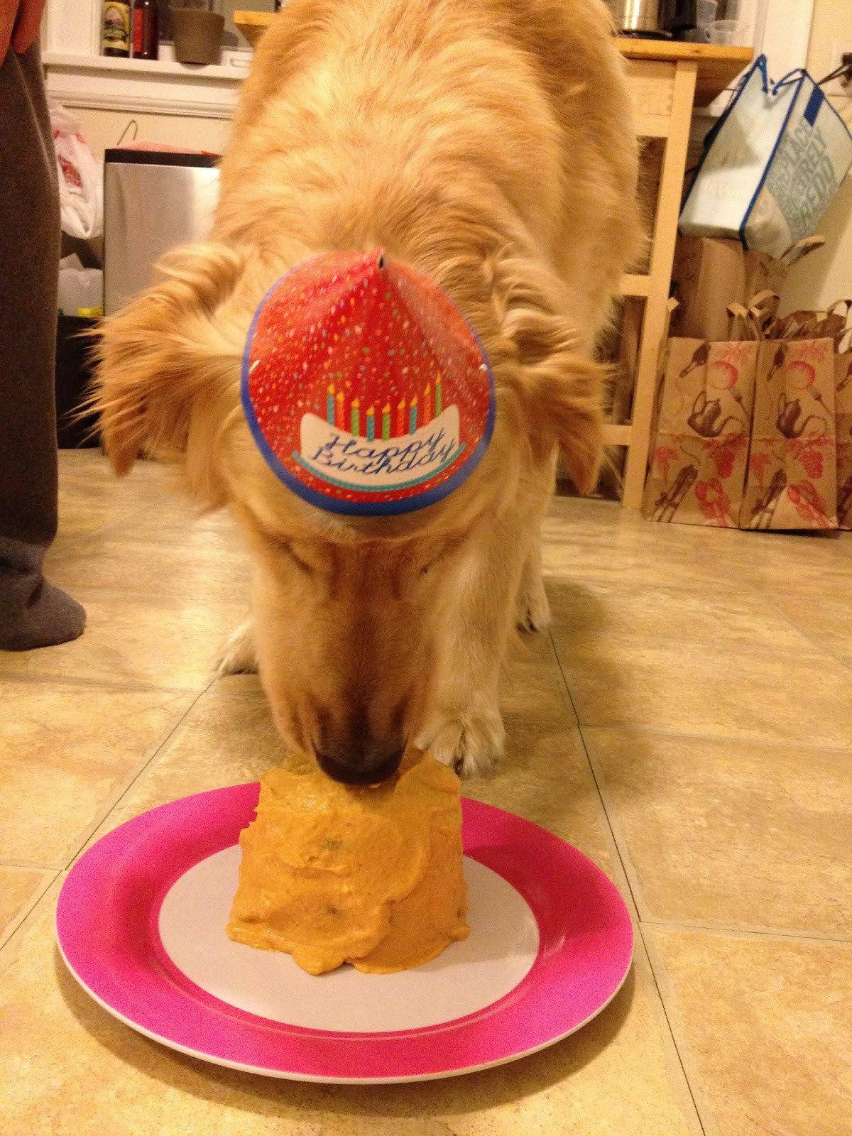 Best ideas about Dog Birthday Cake
. Save or Pin dog birthday cake Now.