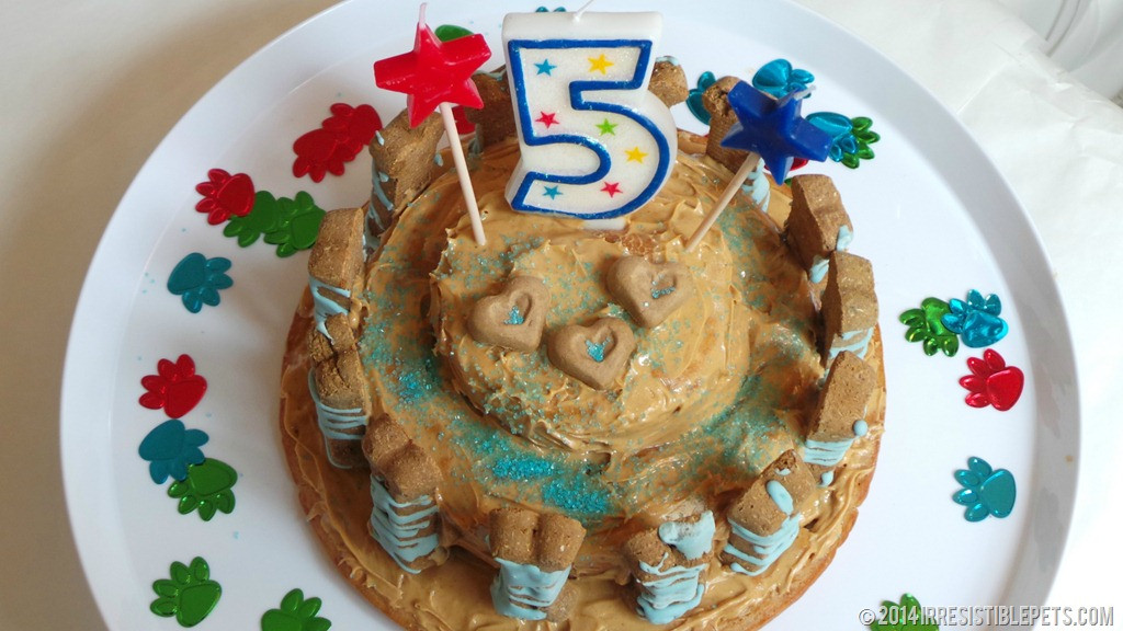 Best ideas about Dog Birthday Cake Petsmart
. Save or Pin Dog Birthday Cake Recipe for Chuy’s 5th Birthday Now.