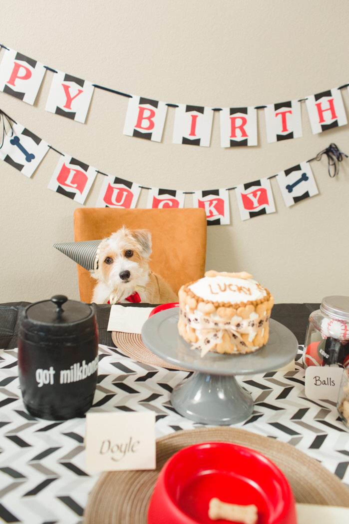 Best ideas about Dog Birthday Decorations
. Save or Pin 5 Dog Birthday Parties Better Than Yours Now.