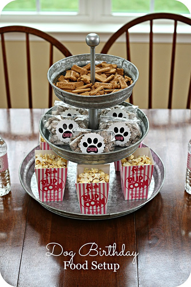 Best ideas about Dog Birthday Party Ideas
. Save or Pin Keeping My Cents ¢¢¢ Dog Birthday Party Ideas Now.