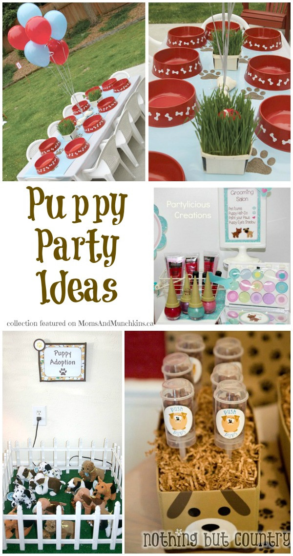 Best ideas about Dog Birthday Party Ideas
. Save or Pin Puppy Party Ideas Birthdays Moms & Munchkins Now.