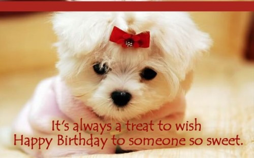 Best ideas about Dog Birthday Quotes
. Save or Pin Happy Birthday Quotes For Dogs QuotesGram Now.