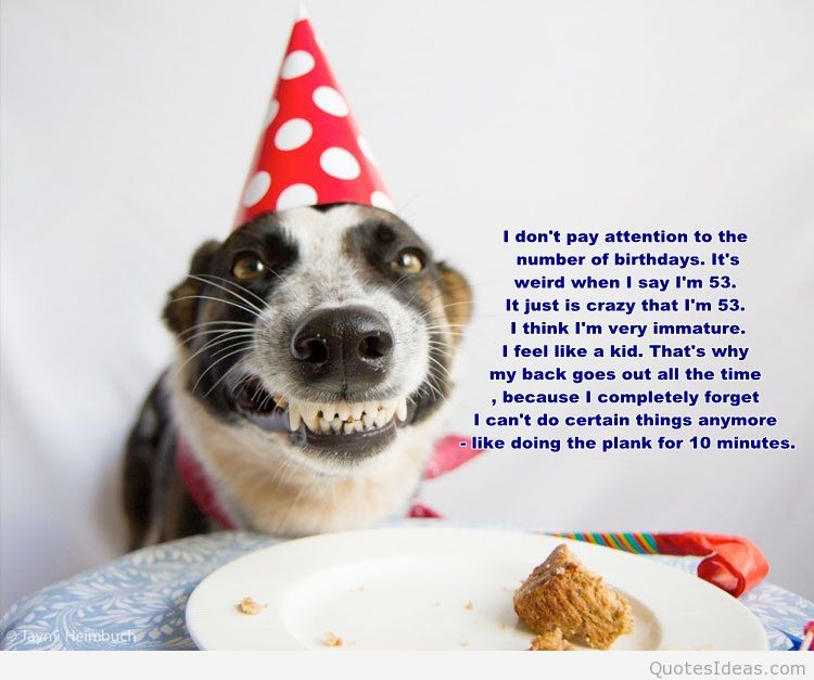 Best ideas about Dog Birthday Quotes
. Save or Pin Topic birthday quotes wishes and happy birthday images quotes Now.