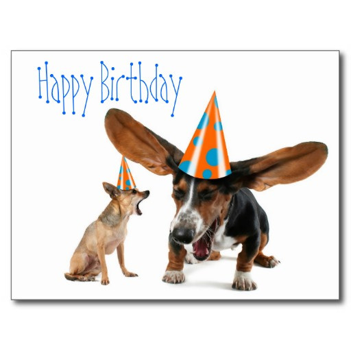 Best ideas about Dog Birthday Quotes
. Save or Pin Dog Funny Birthday Quotes QuotesGram Now.